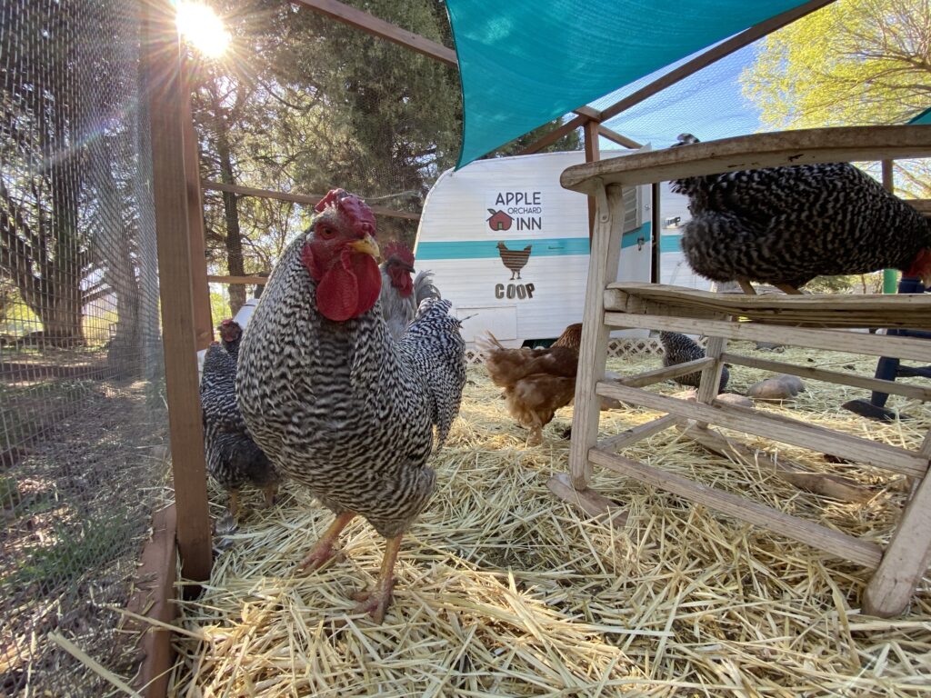 Apple Orchard Inn in Hermosa, United States